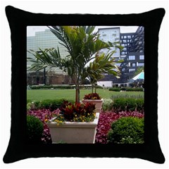 Columbus Commons In Late May  Throw Pillow Case (black) by Riverwoman