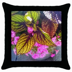 Coleus & Petunia Throw Pillow Case (black) by Riverwoman