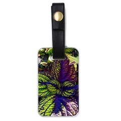 Dark Coleus Luggage Tag (one Side) by Riverwoman