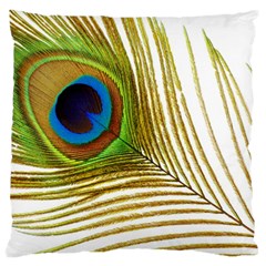 Peacock Feather Plumage Colorful Standard Flano Cushion Case (one Side) by Sapixe