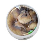 Close Up Mushroom Abstract 4-Port USB Hub (One Side) Front