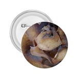 Close Up Mushroom Abstract 2.25  Buttons Front