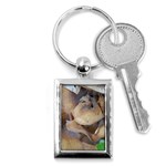 Close Up Mushroom Abstract Key Chain (Rectangle) Front