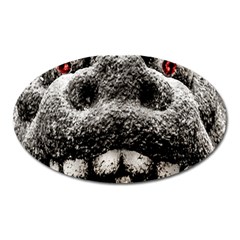Monster Sculpture Extreme Close Up Illustration 2 Oval Magnet by dflcprintsclothing