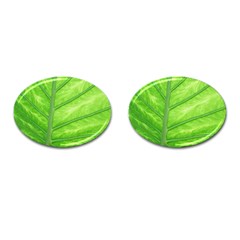 Green Bright Digital Manipulation Cufflinks (oval) by Vaneshart