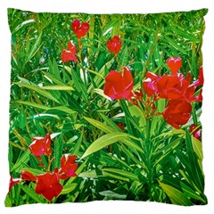 Red Flowers And Green Plants At Outdoor Garden Standard Flano Cushion Case (one Side) by dflcprintsclothing