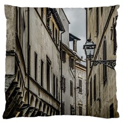 Houses At Historic Center Of Florence, Italy Large Flano Cushion Case (two Sides) by dflcprintsclothing