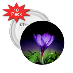 Floral Nature 2 25  Buttons (10 Pack)  by Sparkle