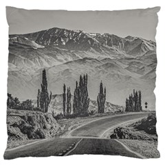 Deserted Landscape Highway, San Juan Province, Argentina Standard Flano Cushion Case (two Sides) by dflcprintsclothing