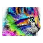 Rainbowcat Double Sided Flano Blanket (Mini)  35 x27  Blanket Front