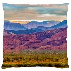Arid Andean Landscape, La Rioja, Argentina010 Standard Flano Cushion Case (one Side) by dflcprintsclothing