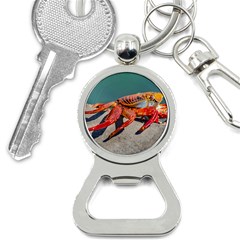 Colored Crab, Galapagos Island, Ecuador Bottle Opener Key Chain by dflcprintsclothing