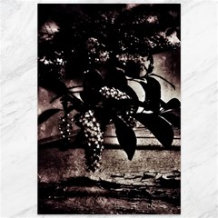 Dark Spring Canvas 12  X 18  by MRNStudios
