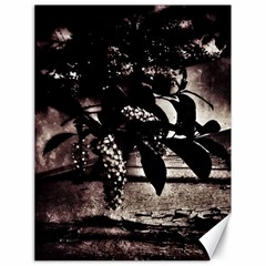Dark Spring Canvas 18  X 24  by MRNStudios