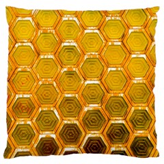 Hexagon Windows Standard Flano Cushion Case (one Side) by essentialimage