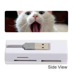 Wow Kitty Cat From Fonebook Memory Card Reader (stick) by 2853937