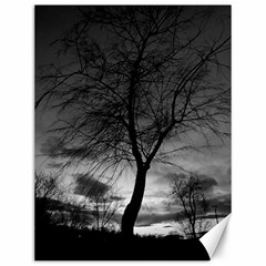 Black And White Tree 1 Canvas 12  X 16  by DeCarolina