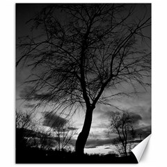 Black And White Tree 1 Canvas 20  X 24  by DeCarolina