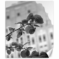 Empire State In B&w Canvas 8  X 10  by DeCarolina