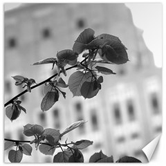 Empire State In B&w Canvas 12  X 12  by DeCarolina