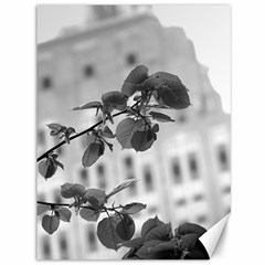 Empire State In B&w Canvas 36  X 48  by DeCarolina