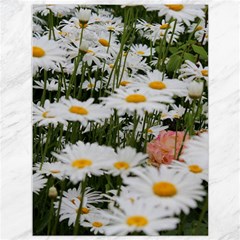 Champs De Marguerites Canvas 36  X 48  by kcreatif