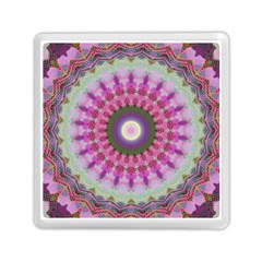 Sweet Cake Memory Card Reader (square) by LW323
