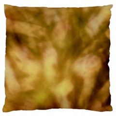Orange Papyrus Abstract Large Flano Cushion Case (two Sides) by DimitriosArt