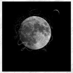 Lune Étoilé Canvas 16  X 16  by kcreatif