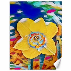 Full Bloom Canvas 36  X 48  by thedaffodilstore