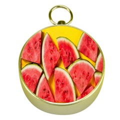 Watermelon Gold Compasses by artworkshop