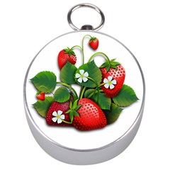 Strawberries-fruits-fruit-red Silver Compasses by Jancukart