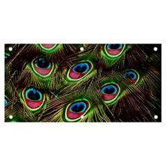 Peacock-feathers-color-plumage Banner And Sign 6  X 3  by Celenk