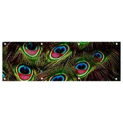 Peacock-feathers-color-plumage Banner And Sign 9  X 3  by Celenk