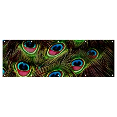 Peacock-feathers-color-plumage Banner And Sign 12  X 4  by Celenk