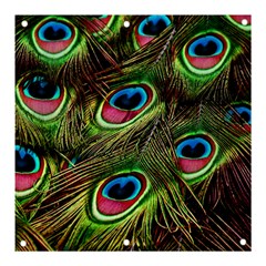 Peacock-feathers-color-plumage Banner And Sign 3  X 3  by Celenk