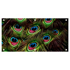 Peacock-feathers-color-plumage Banner And Sign 4  X 2  by Celenk