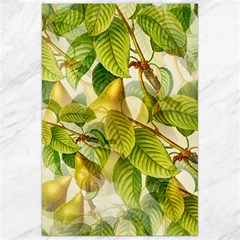 Pear Fruit Tree Organic Pattern Canvas 24  X 36  by Wegoenart