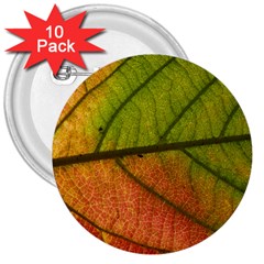 Leaf Autumn Fall Season Macro 3  Buttons (10 Pack)  by Wegoenart