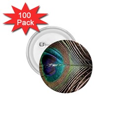 Peacock 1 75  Buttons (100 Pack)  by StarvingArtisan