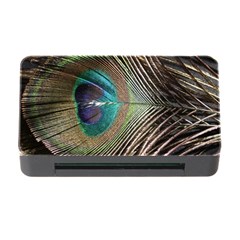 Peacock Memory Card Reader With Cf by StarvingArtisan