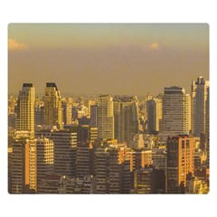 Buenos Aires City Aerial View002 One Side Premium Plush Fleece Blanket (small) by dflcprintsclothing
