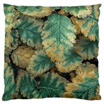 Colored Close Up Plants Leaves Pattern Large Premium Plush Fleece Cushion Case (One Side) Front