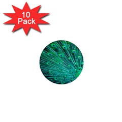 Green And Blue Peafowl Peacock Animal Color Brightly Colored 1  Mini Buttons (10 Pack)  by Semog4