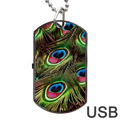 Peacock Feathers Color Plumage Dog Tag Usb Flash (one Side) by Celenk