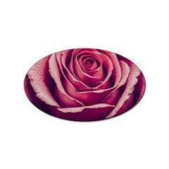 Beautiful Beauty Flower Bloom Sticker Oval (100 Pack) by Vaneshop