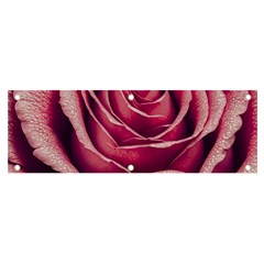 Beautiful Beauty Flower Bloom Banner And Sign 6  X 2  by Vaneshop
