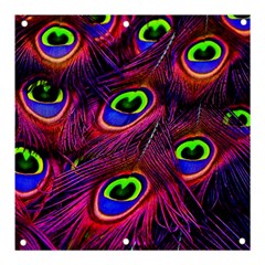 Peacock Feathers Color Plumage Banner And Sign 3  X 3  by Celenk