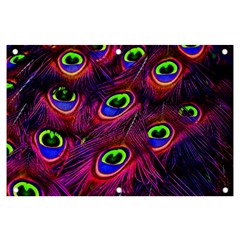 Peacock Feathers Color Plumage Banner And Sign 6  X 4  by Celenk