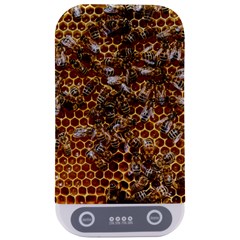 Honey Bee Bees Insect Sterilizers by Ravend